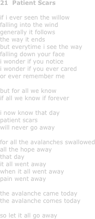 21  Patient Scars

if i ever seen the willow
falling into the wind
generally it follows
the way it ends
but everytime i see the way
falling down your face
i wonder if you notice
i wonder if you ever cared
or ever remember me

but for all we know
if all we know if forever

i now know that day
patient scars
will never go away

for all the avalanches swallowed
all the hope away
that day
it all went away
when it all went away
pain went away

the avalanche came today
the avalanche comes today

so let it all go away

